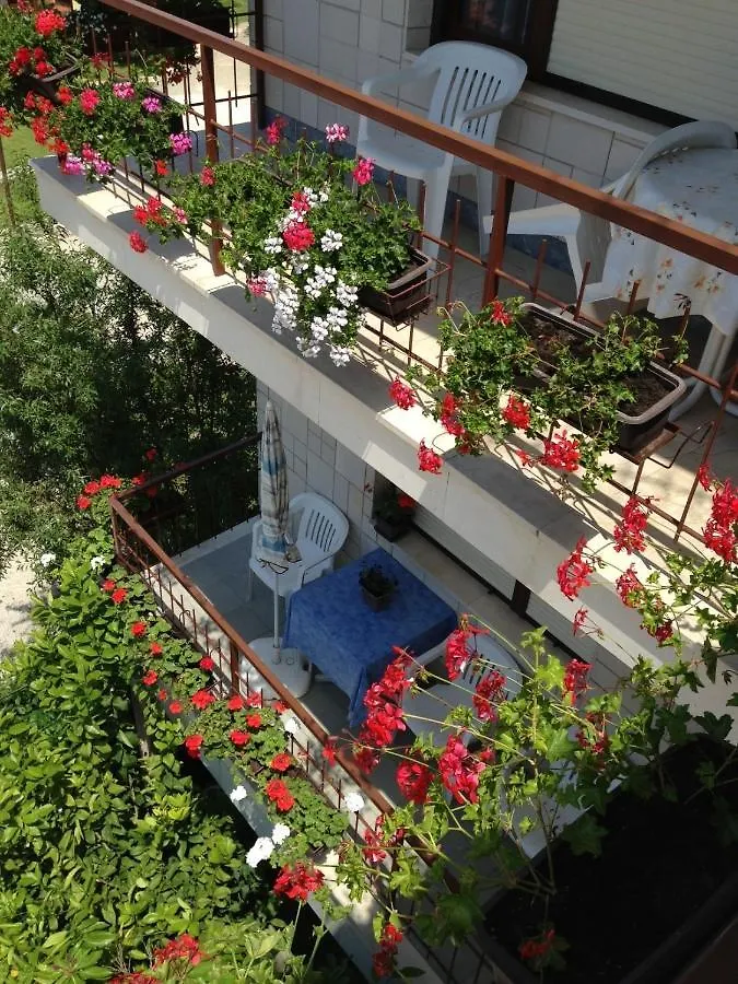 Guest house Room In Sukosan With Balcony, Air Conditioning, Wifi 5188-3